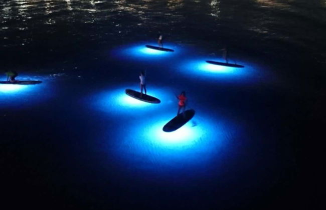 Night Paddle Surf Tour in Jávea - Foto 1