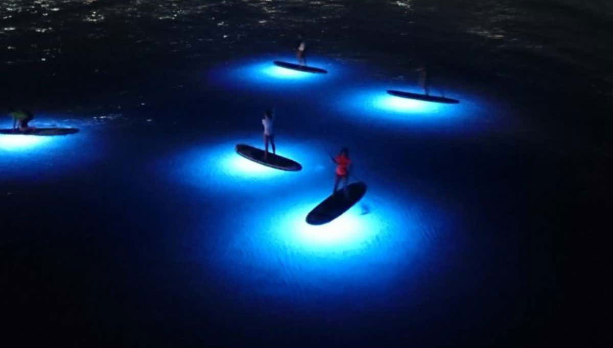 Night Paddle Surf Tour in Jávea - Foto 1