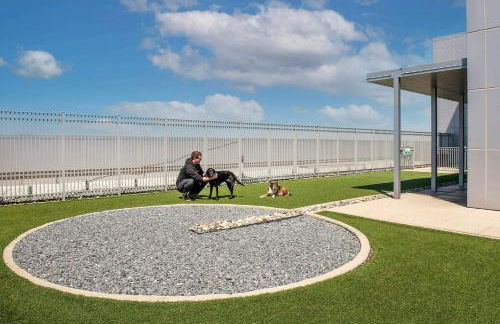 Reston 2br w laundry walk to restaurants mall WDC-831 - Foto 47