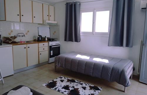 Andros Lighthouse Apartments - Foto 44
