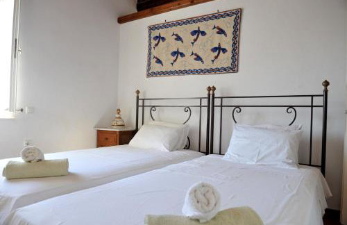 Hydra Erato - Foto 66