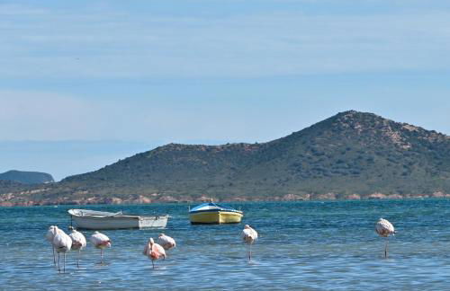 Villa La Mariposa - Foto 38