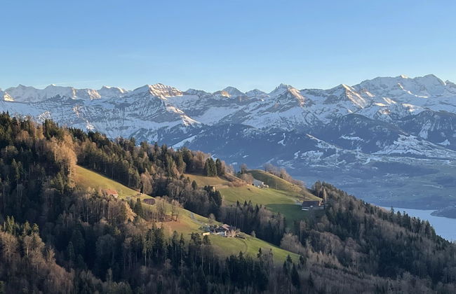 Panoramaferienwohnung Waldkircher - Foto 26