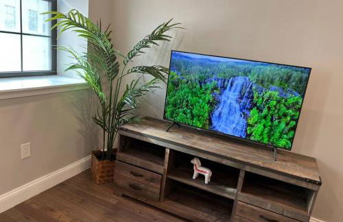 307 Kyoto style 1BDR Apt in center city - Foto 17