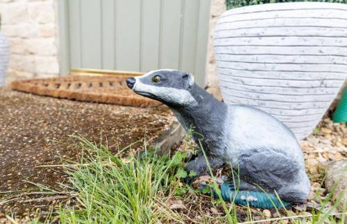 Badgers Lodge MV37 Lakeside Spa Property - Foto 13