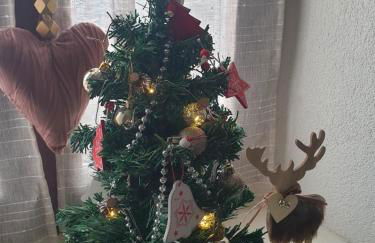 Coquette Maison, Côté Château à Mutzig en Alsace - Foto 47