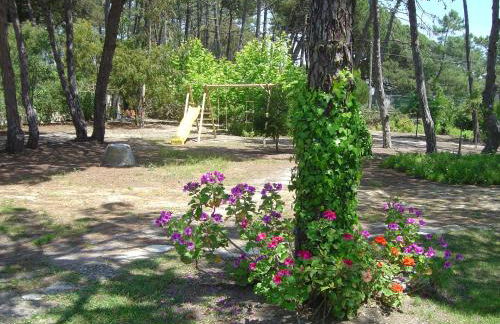 Solar Do Magoito - Foto 11