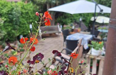 Pension Entenhausen - Foto 61