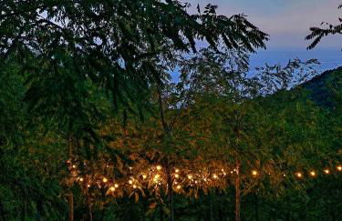 Casa nel Bosco, un oasi di pace - Foto 22