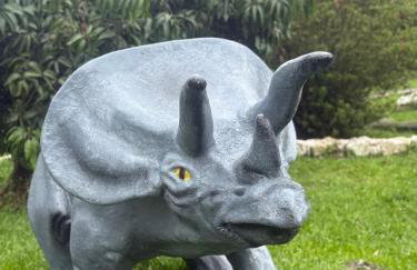 Casa de campo em São Roque - Sítio Beija Flor - Foto 56