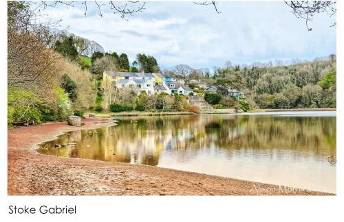 Dart Haven - cheerful holiday bungalow in Galmpton - Photo 25