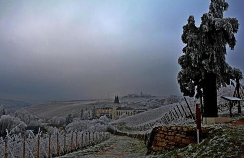 Auszeit Rheingauer Rosengasse - Foto 38