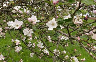 Ferienwohnung Nebenan - Foto 14