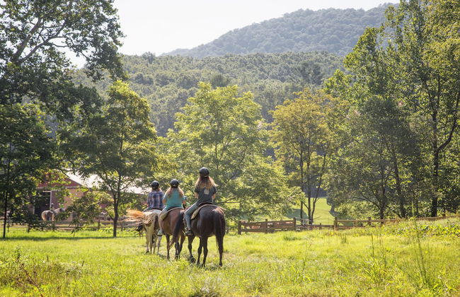 Springmaid Mountain - Foto 39