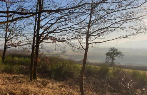 Exklusive Ferienwohnung Bad Salzschlirf - direkt am Waldrand - großer Garten kompett umzäunt - Hunde willkommen - 2 private Stellplätze - Foto 73