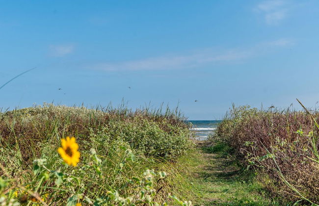 2nd Row Beach Home Ocean Views Old School Vibes - 1 min Walk to Sunny Beach - Foto 2