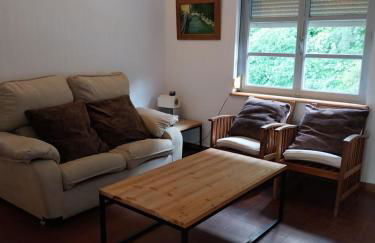 Ave Ibis eremita Vejer - Foto 12