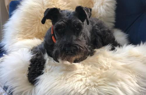 Little Gem on Bridgnorth's Cartway. River Views - Foto 32