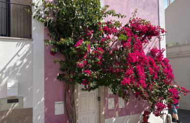 Casa Cor de Rosa - Foto 6