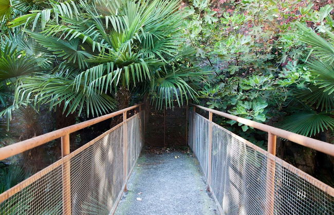 Villa Lucia Laglio with private lake access - Foto 33