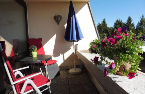 Komfortable Wohnungen und Studio in Sankt Englmar - Foto 15