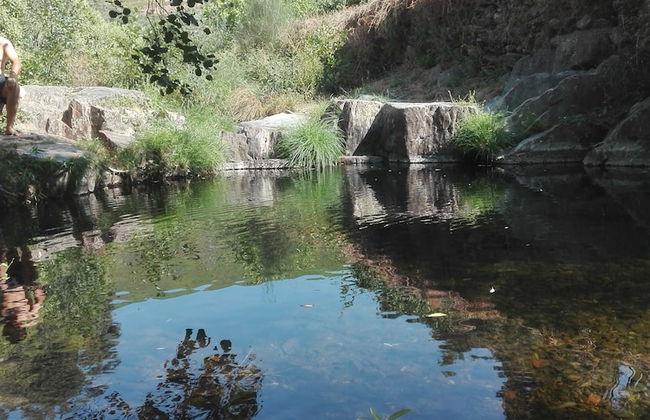 Apartamento Prunus Avium - Foto 23