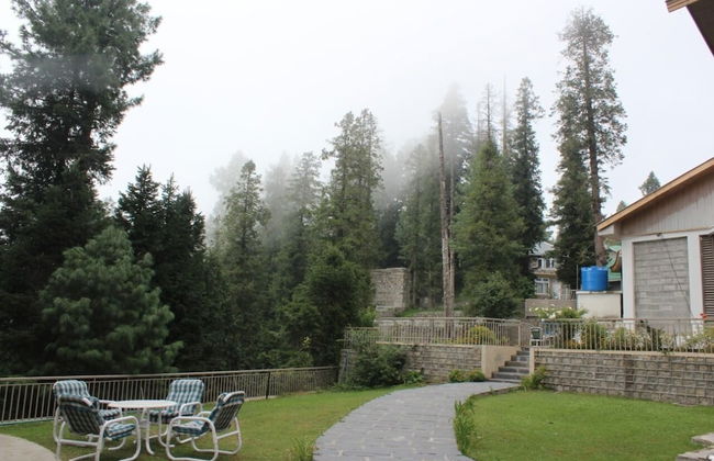 Blue Pine Retreat - Photo 13