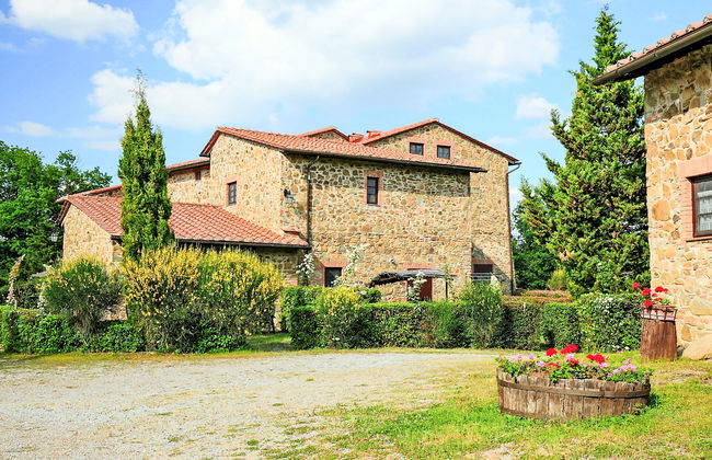 Pulcino n°3 - Foto 20