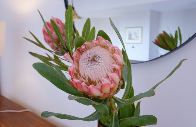 Garajau House - Sunrise to Sunset Ocean View Villa - Foto 36