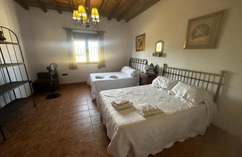 La chumbera - Foto 28