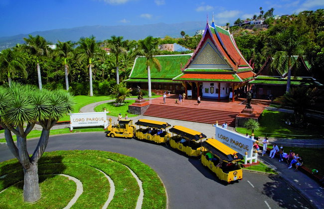 Loro Parque - Photo 16