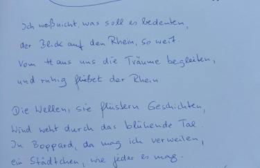 Rheinvilla Weitblick - Foto 30