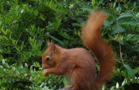 West Lodge - Foto 19