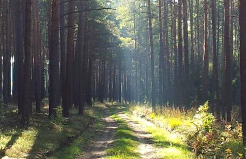 Stawy u Sikory - Dom Rybak - Agroturystyka i łowisko - Foto 27