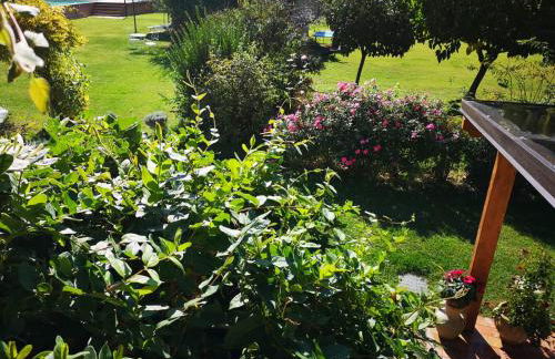 River Melody - Foto 59