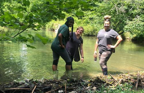 Beautiful Secluded Log Cabin - Foto 41