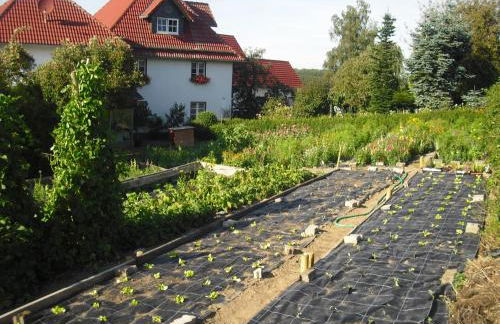 Willekes Blütenhof - Foto 33