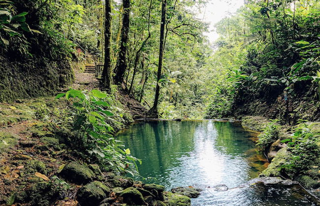 Cabañas Caeli Rainforest Glass Cabin La Perezosa La Fortuna - Foto 25