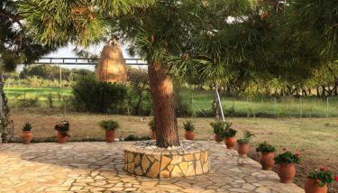 Seaside Retreat House - Foto 4