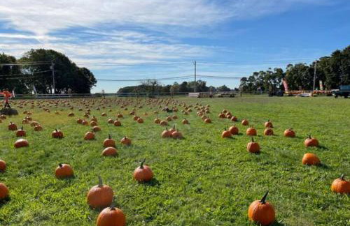 Modern Farmhouse Retreat North Fork Wine Country - Foto 62