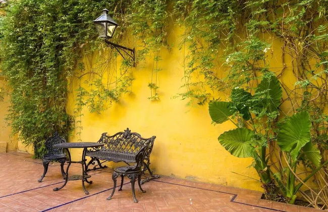 Busto Reform - Foto 10