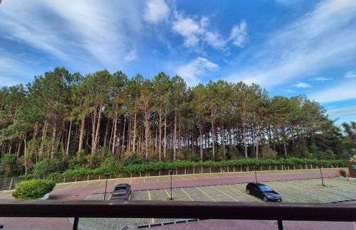 Apart Vista Azul - Conforto com a vista para a mata de pinheiros - Foto 11