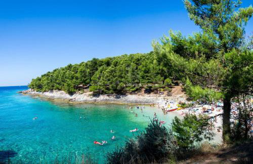 Apartment Akidado - Happy Rentals - Photo 29