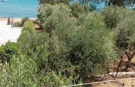 Σπίτι Με Θέα Θάλασσα - Foto 16