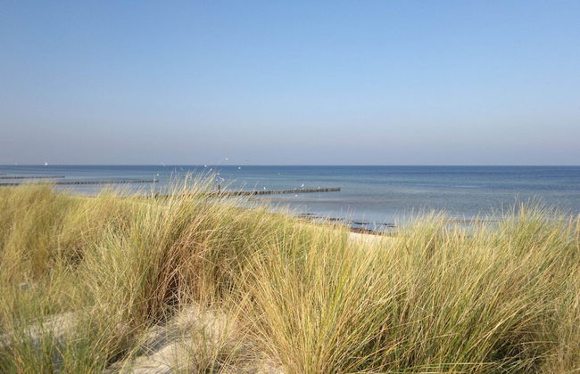 Quaint Bungalow Near Insel Poel With Garden - Foto 79