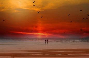 L'écurie & Le Chai - Gîtes de charme entre plage et cœur de village - Foto 26