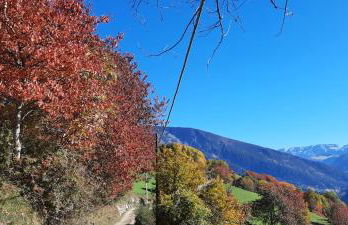 Moarhof Gufidaun - Photo 20