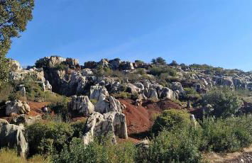 Casa Rural Lavanda con Piscina - Foto 71