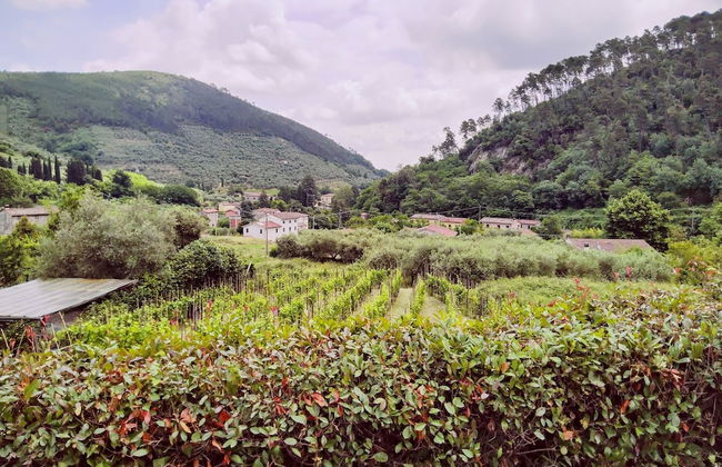 Casale Delle Camelie - Foto 8