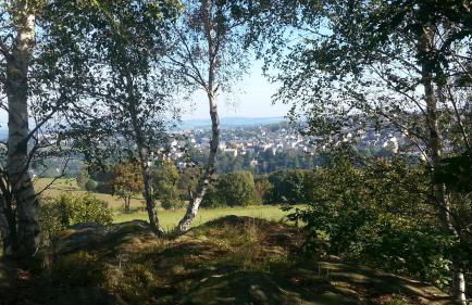 Fewo an der Teufelskanzel - Foto 31